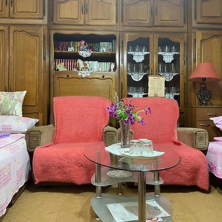 Bed and Breakfast Sud ,,Antal I Olga,, Skorenovac Zimmer foto