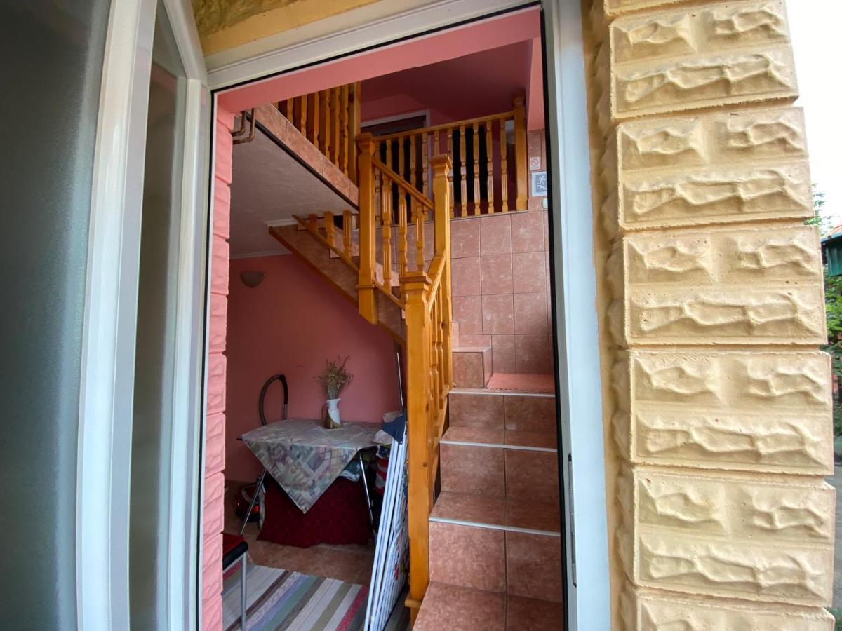 Bed and Breakfast Sud ,,Antal I Olga,, Skorenovac Exterior foto
