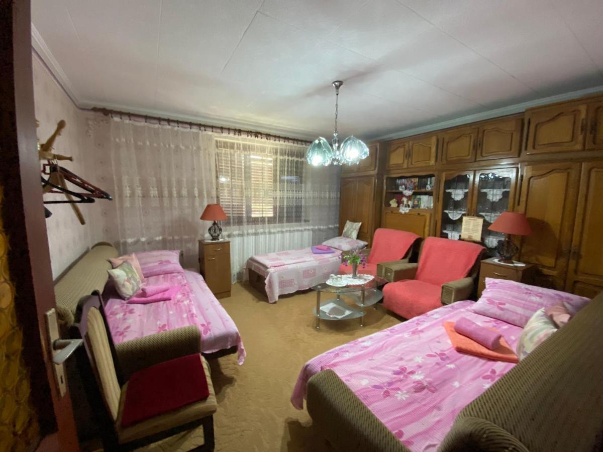 Bed and Breakfast Sud ,,Antal I Olga,, Skorenovac Exterior foto