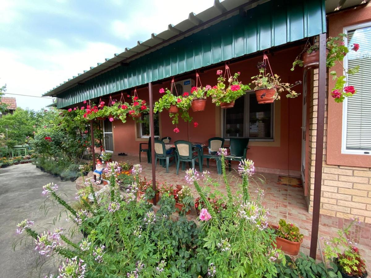 Bed and Breakfast Sud ,,Antal I Olga,, Skorenovac Exterior foto