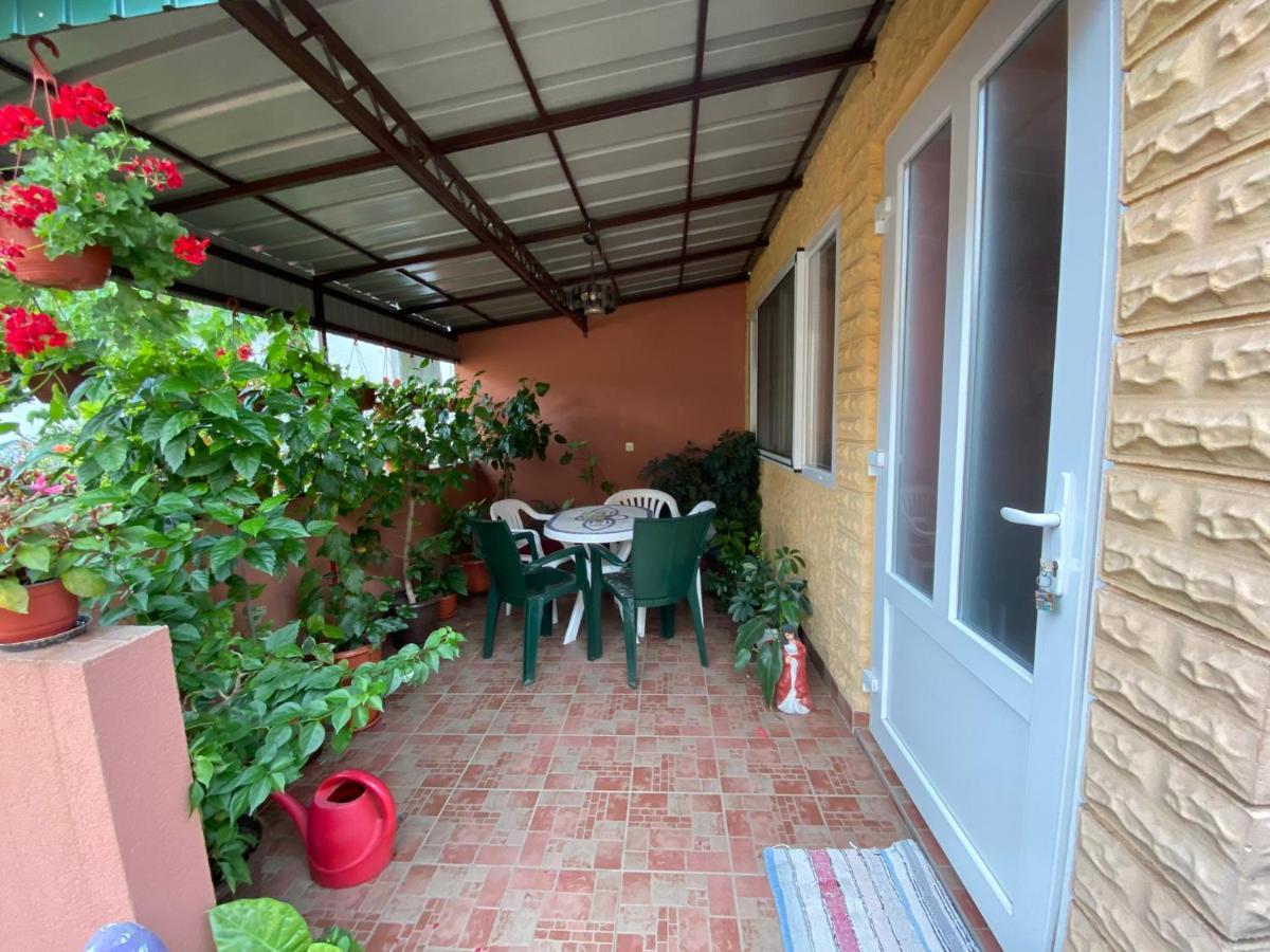 Bed and Breakfast Sud ,,Antal I Olga,, Skorenovac Exterior foto