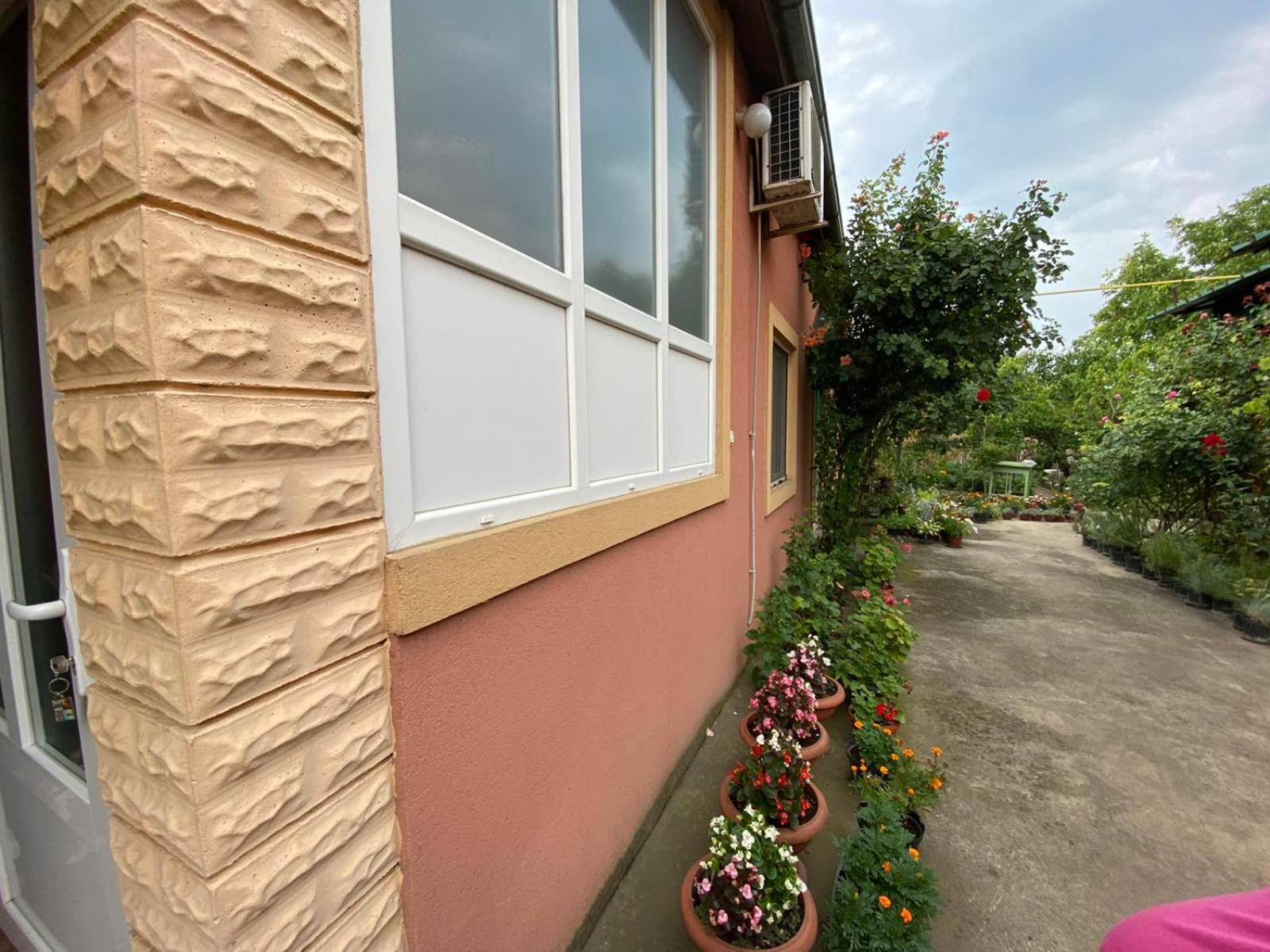 Bed and Breakfast Sud ,,Antal I Olga,, Skorenovac Zimmer foto